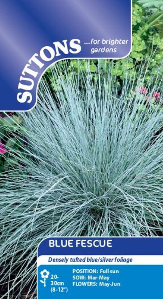 Prairie Seeds - Blue Fescue