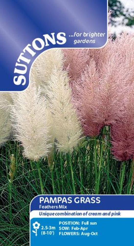 Prairie Seeds - Pampas Feathers Mix