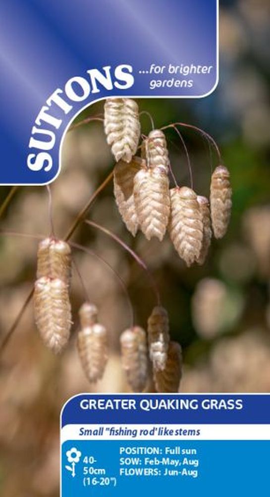 Prairie Seeds - Greater Quaking Grass
