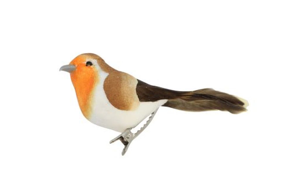 PM Robin on Clip Dec