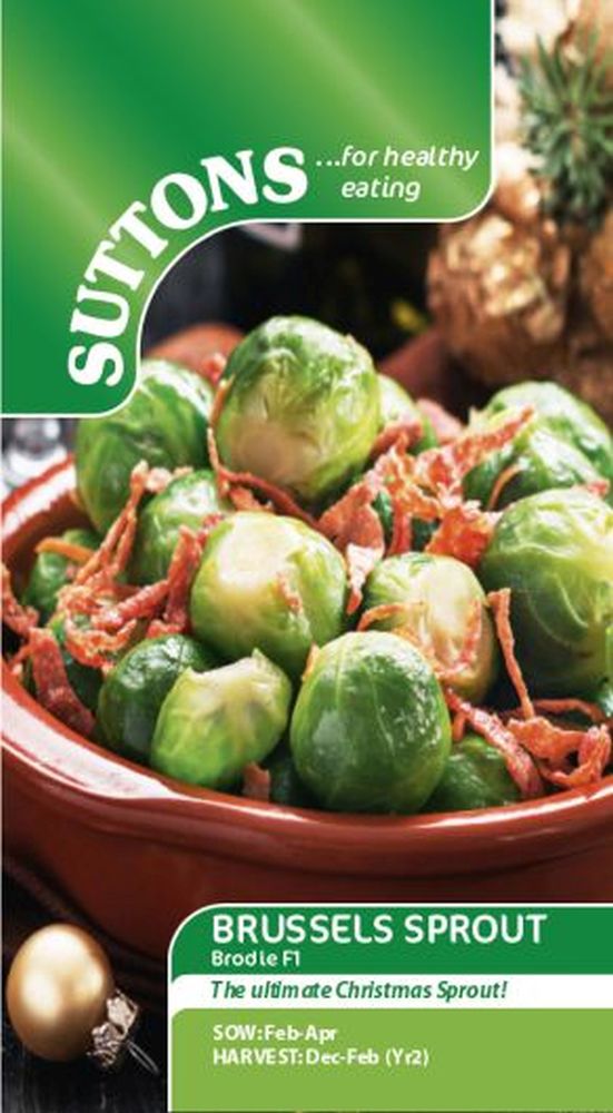 Brussels Sprout 'Brodie F1'