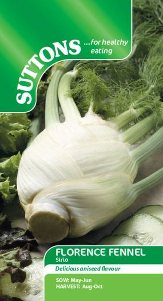 Florence Fennel Sirio