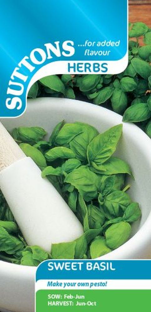 Sweet Basil