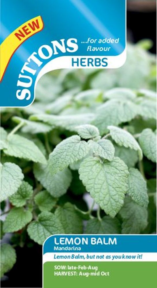 Herb Lemon Balm 'Mandarina'