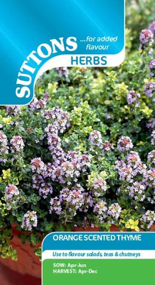 Thyme Orange Scented