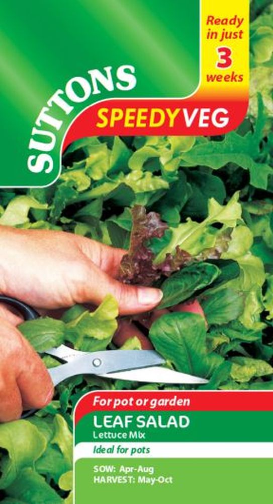 Leaf Salad Lettuce Mix Speedy Veg