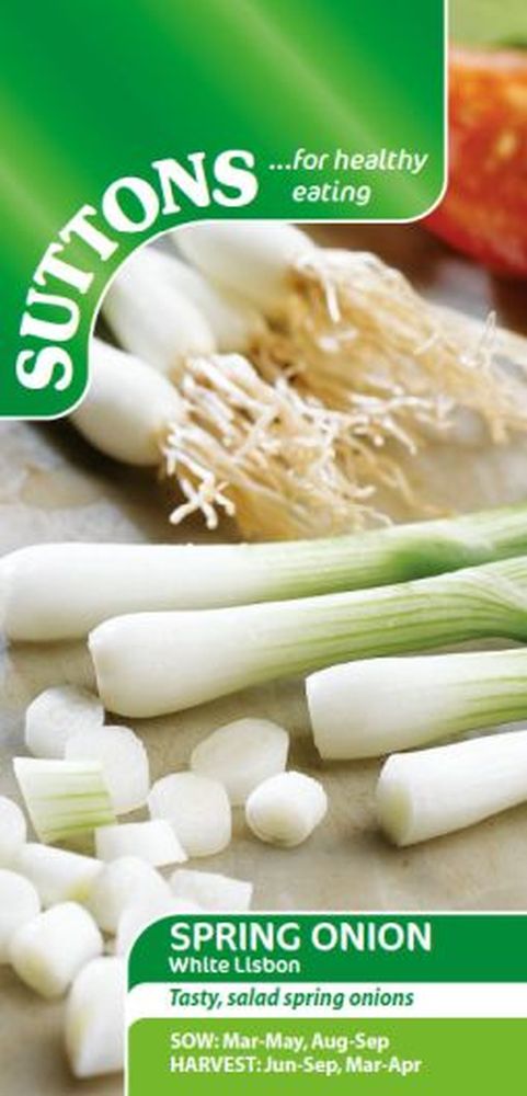 Spring Onion White Lisbon
