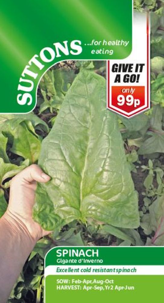 Spinach Gigante D'Inverno