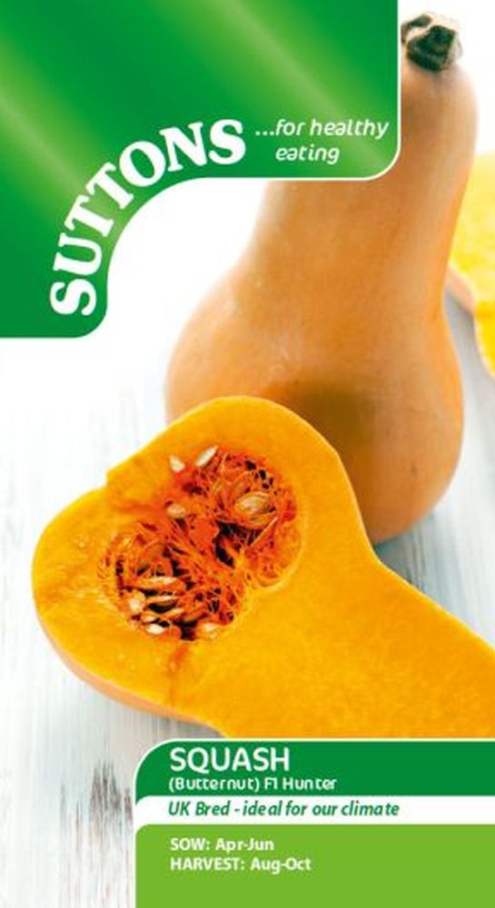 Squash F1 Butternut - Hunter