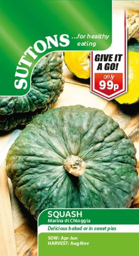 Squash Marina di Chioggia