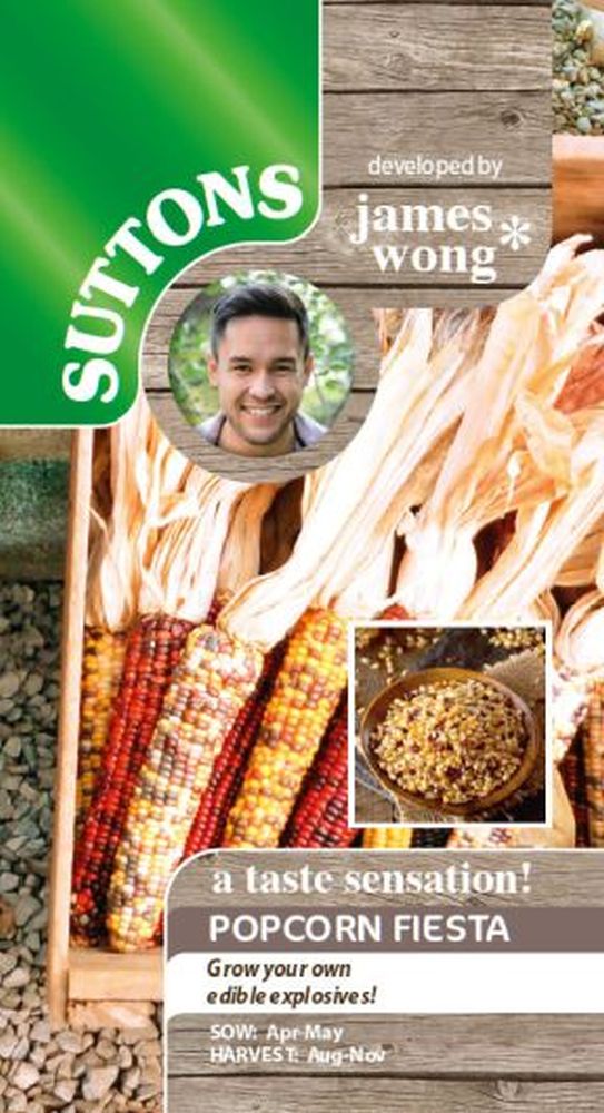 Sweet Corn Popcorn Fiesta