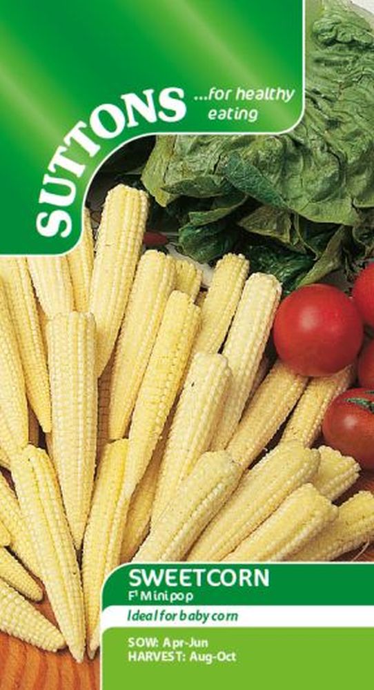 Sweet Corn Minipop F1