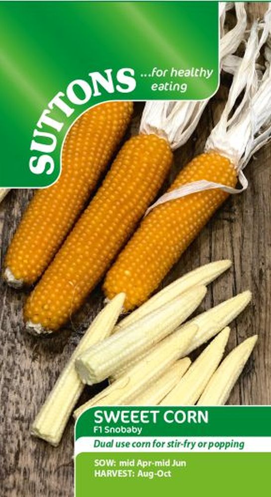 Sweet Corn 'Snobaby'
