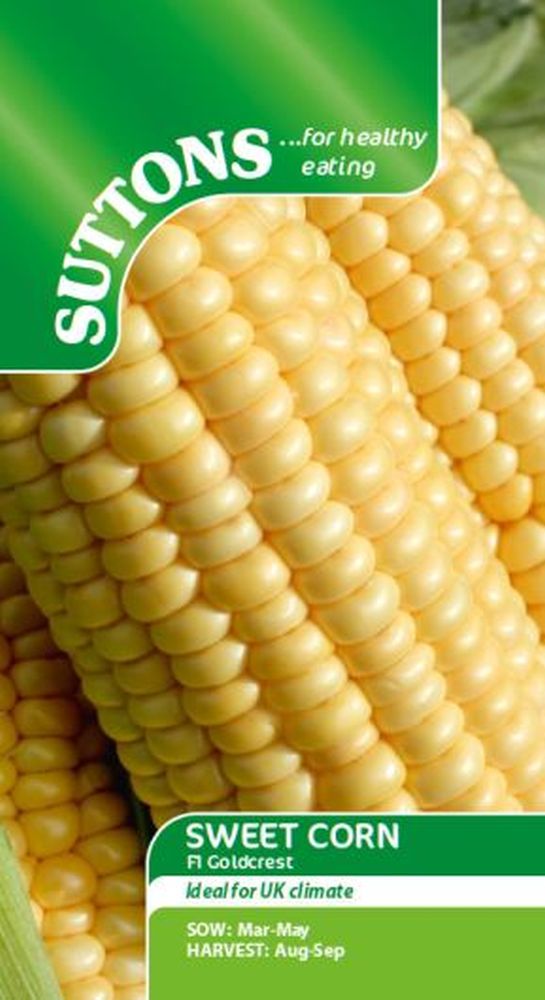 Sweet Corn Seeds - Goldcrest F1