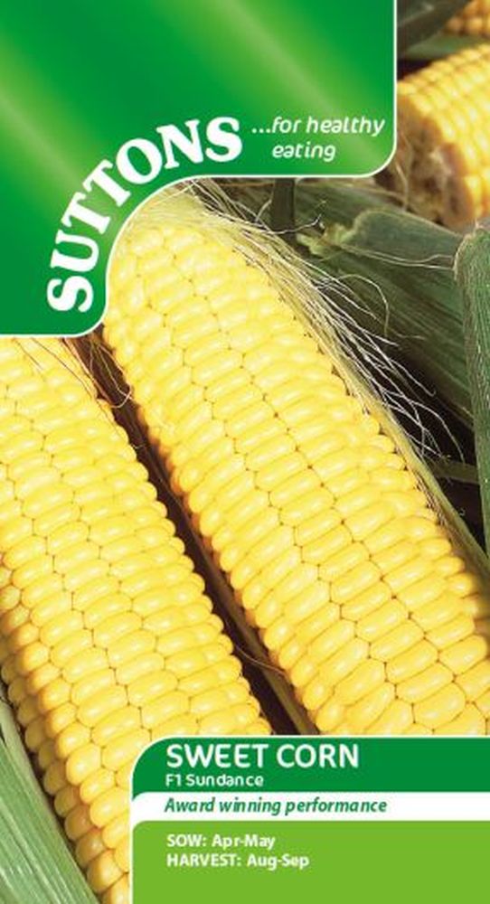 Sweet Corn Sundance F1