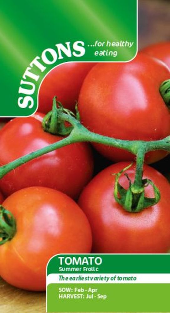 Tomato Summer Frolic