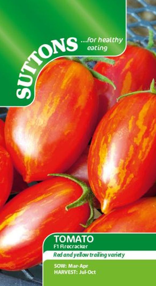 Tomato F1 Firecracker