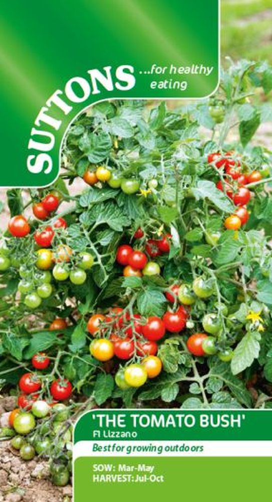 Tomato Lizzano F1 'The Tomato Bush'