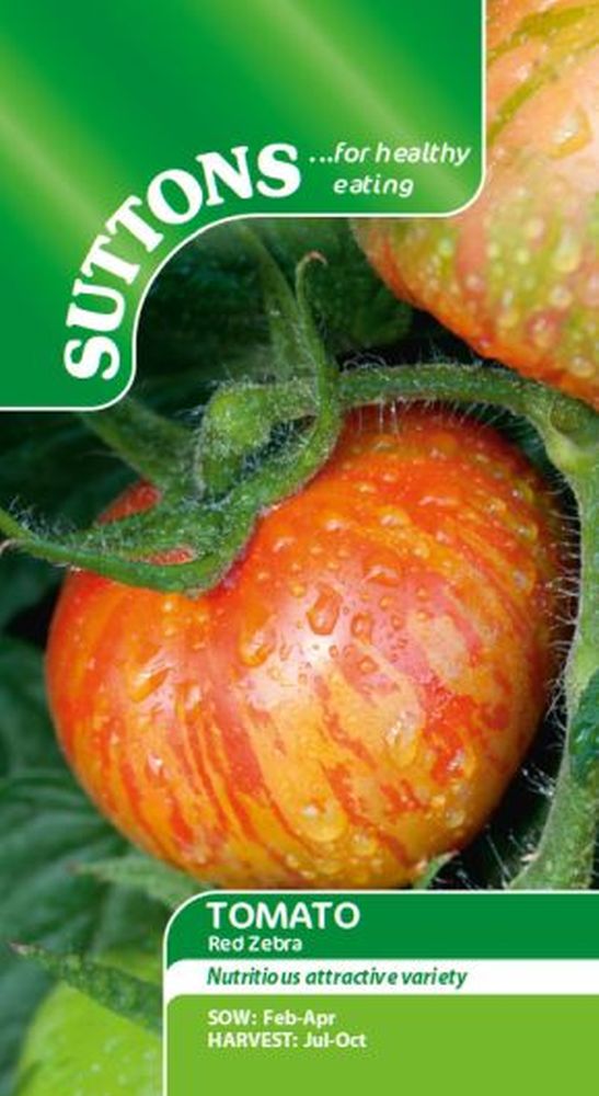 Tomato Red Zebra