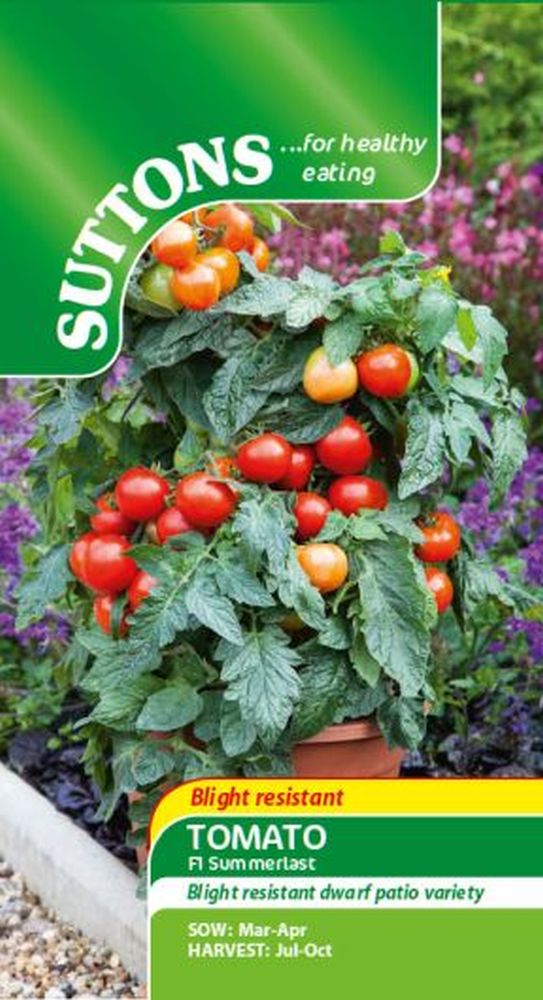 Tomato F1 Summerlast