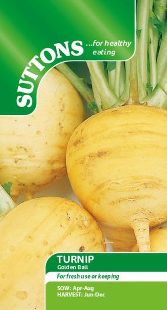 Turnip Golden Ball