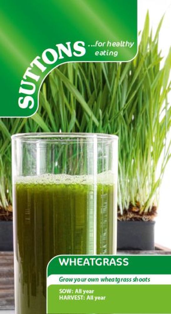 Wheatgrass Shoots