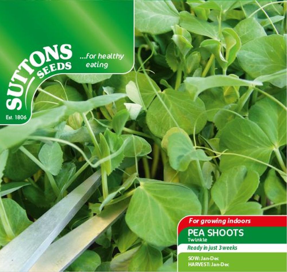 Pea Shoots Twinkle