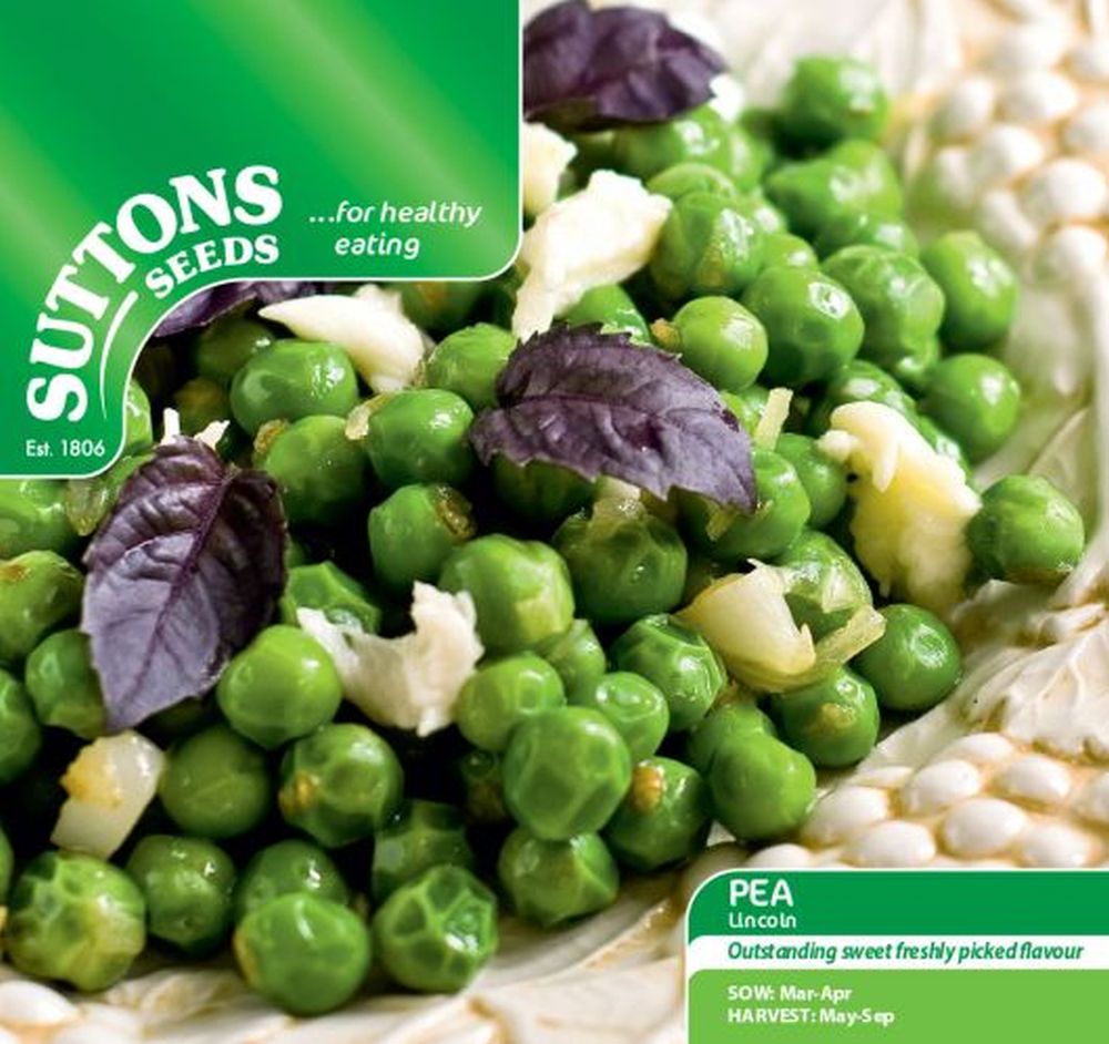 Pea Lincoln