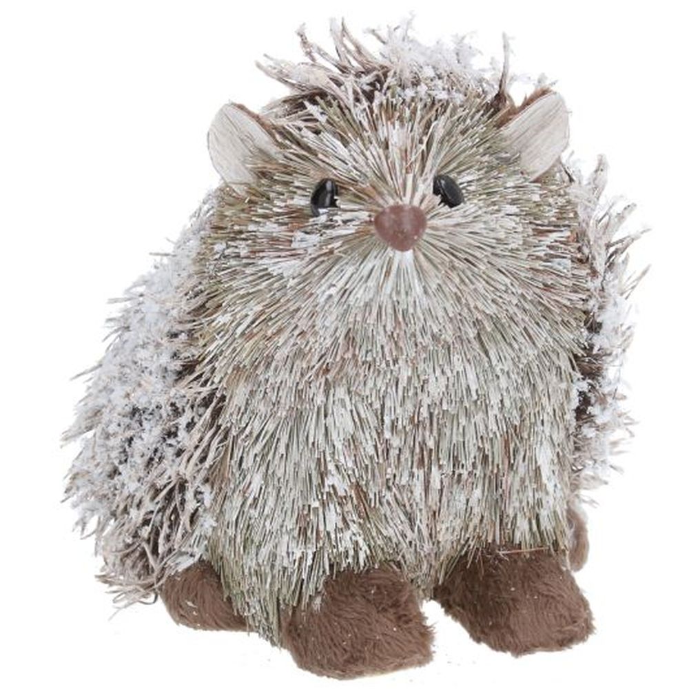 Snowy Bristle Hedgehog Orn, Lge