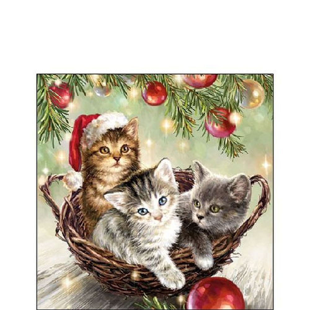 Napkin 25 Cats In Basket FSC Mix