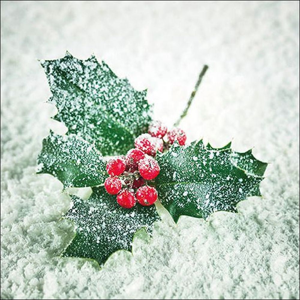 Napkin 33 Frozen Ilex FSC Mix