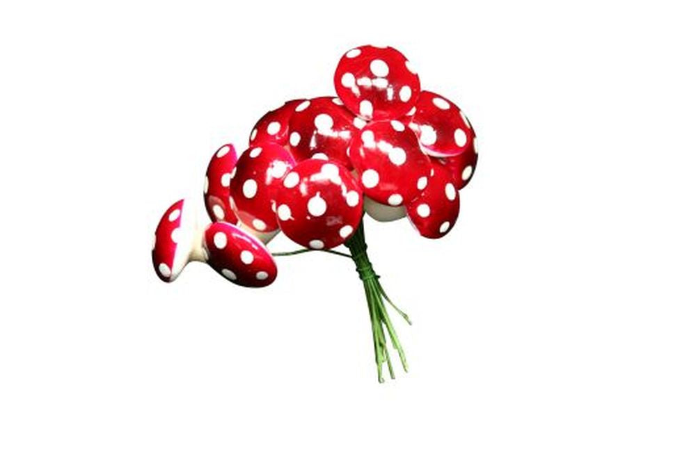 Acrylic Toadstool Pick Bunch/12, Sml