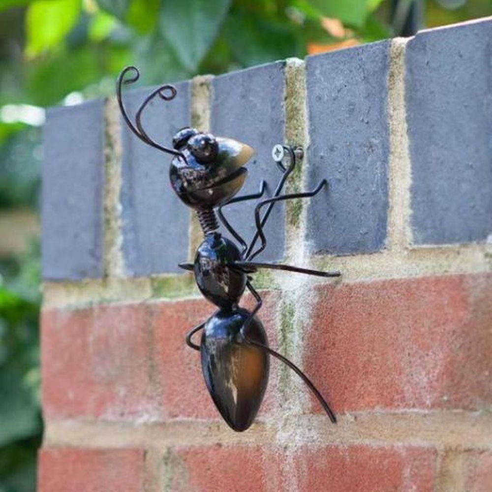 Ants Medium