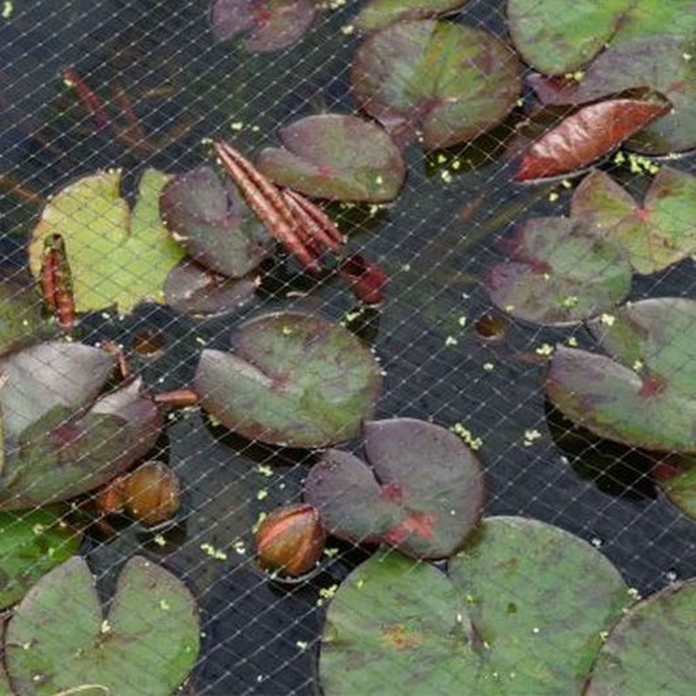Pond & Fruit Cage Netting 12mm - 2 X 10m