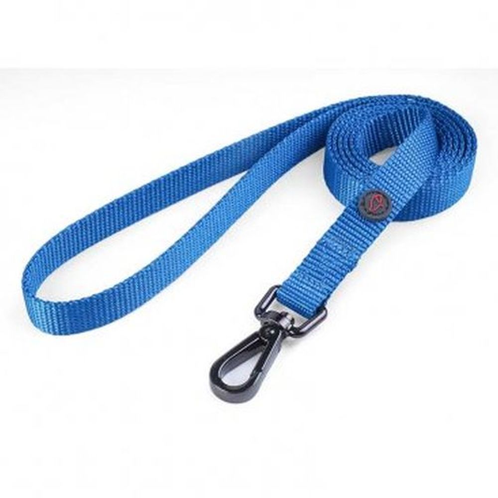 Blue Standard WalkAbout Dog Lead (120 x 2cm)