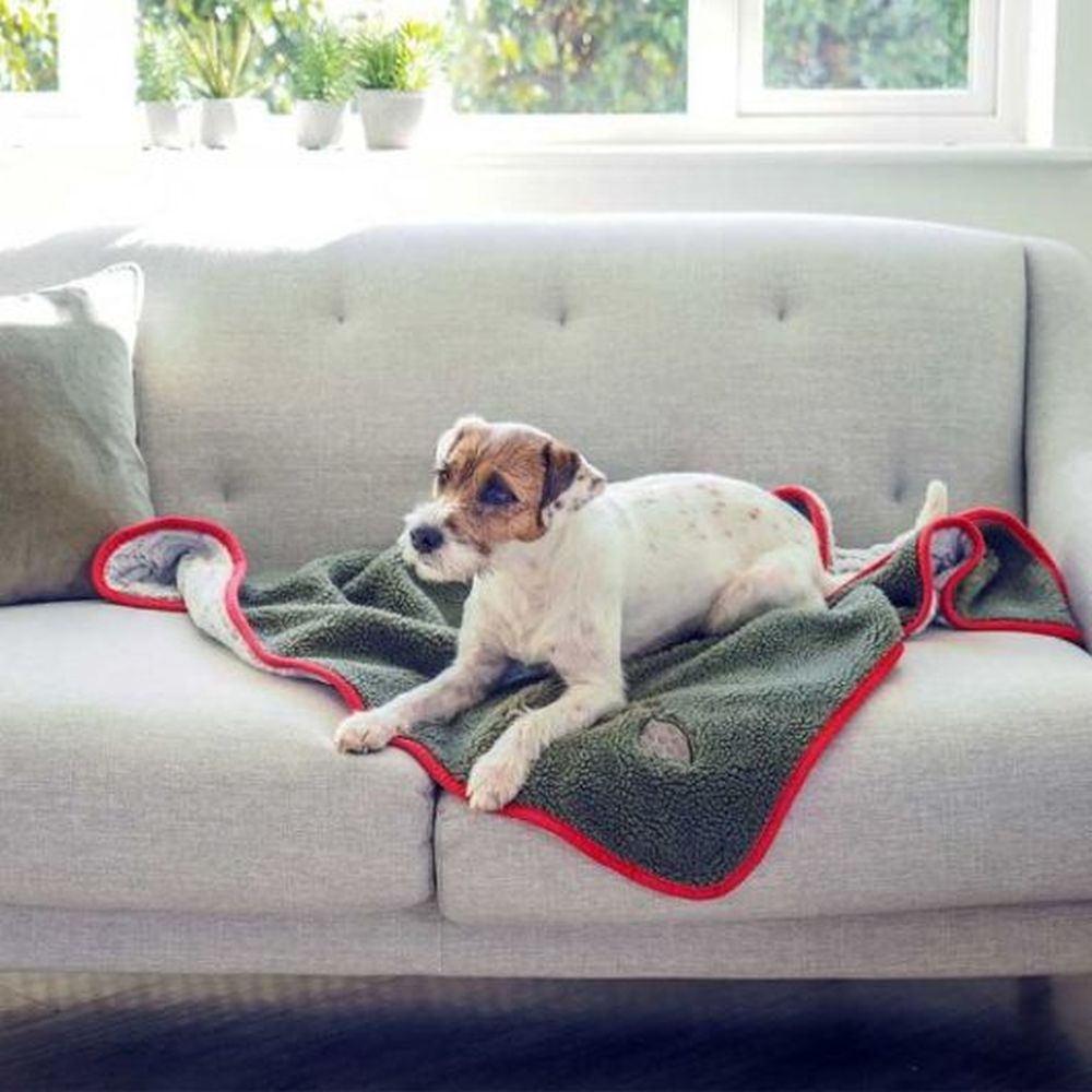 Feathered Friends Comforter