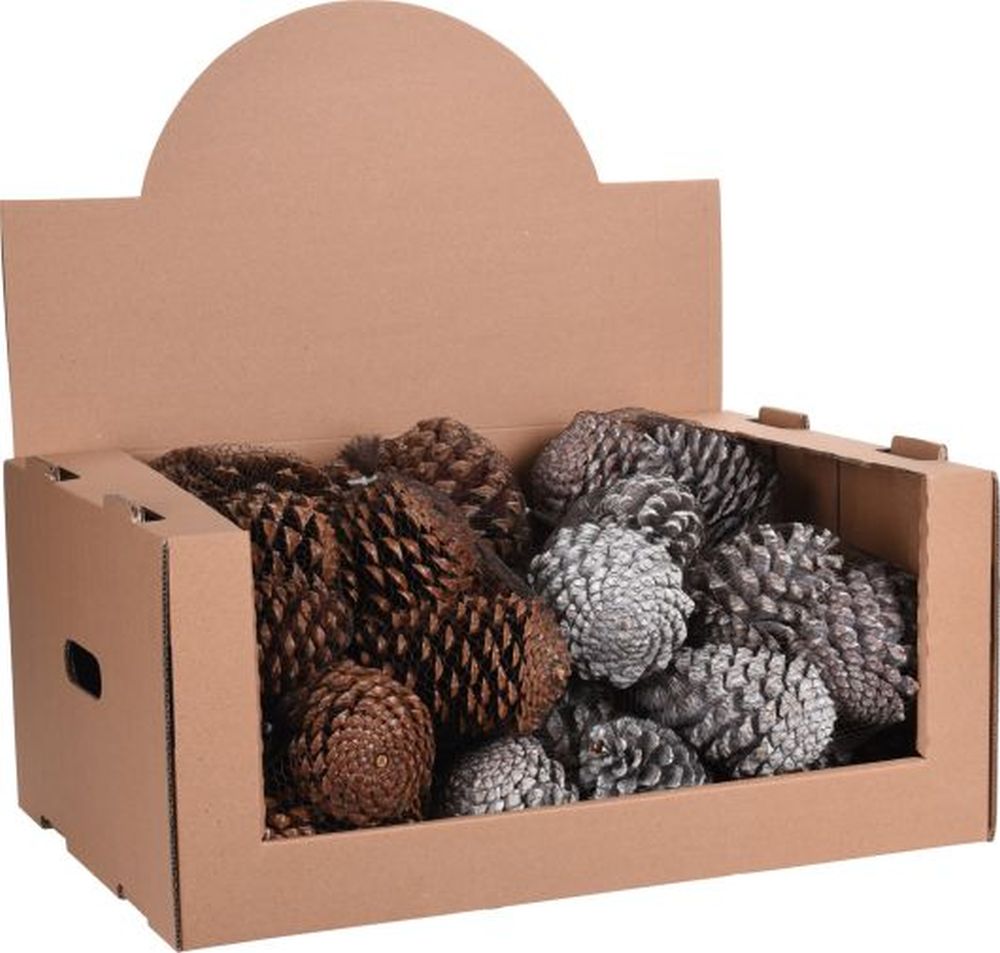 PINECONE IN MESHNET 300 GRAM