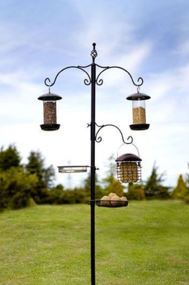 Classic Bird Station