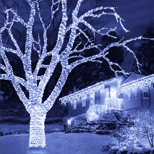 100 White Led Connectable