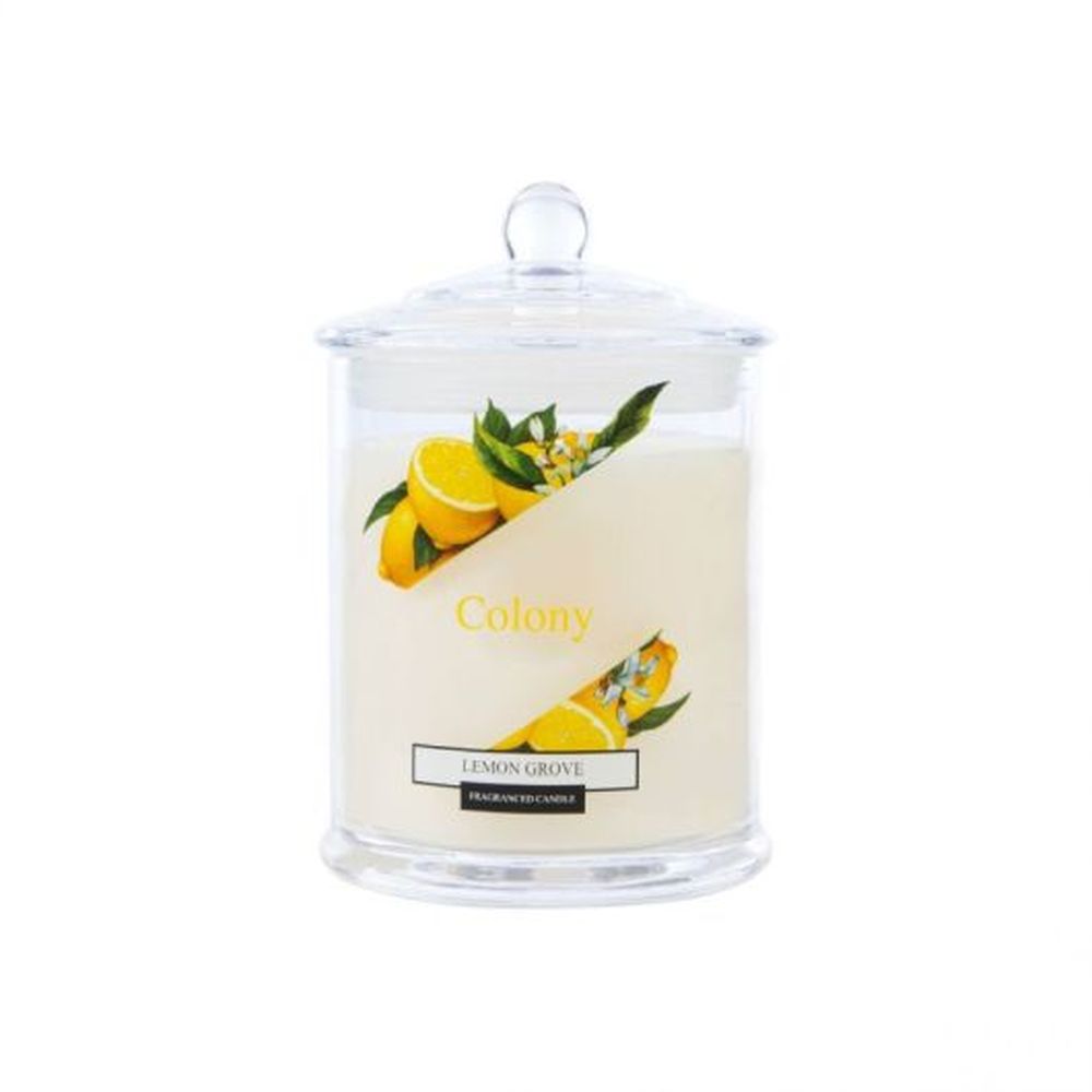JAR CANDLE MEDIUM LEMON GROVE