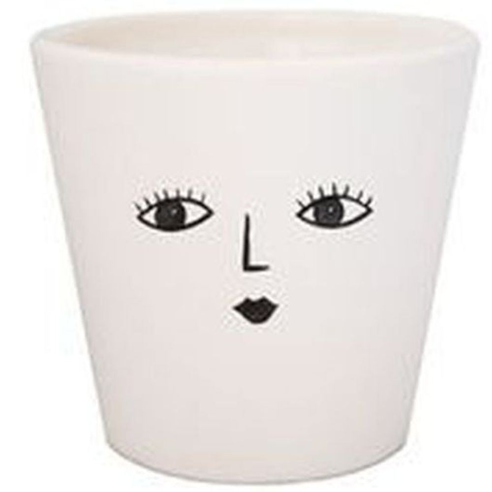 Face Planter Wakey 10cm
