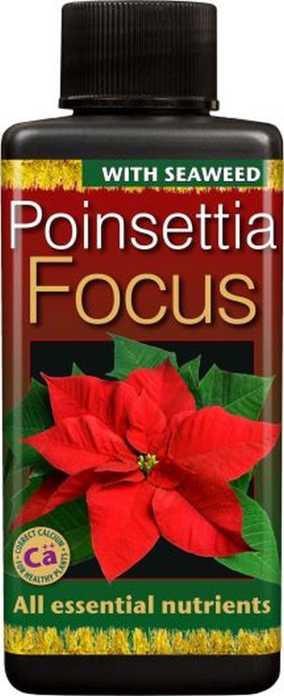 Poinsettia Focus 100 ml