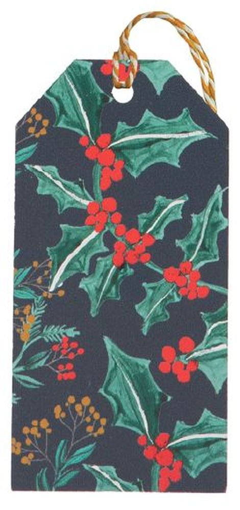 MULTIPACK TAG (6) HOLLY TEAL