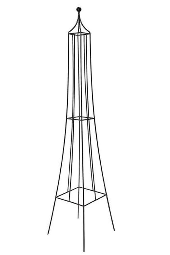 Colonius - Large
