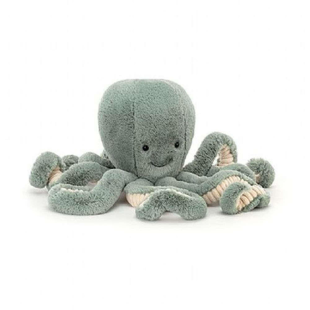 Odyssey Octopus Medium