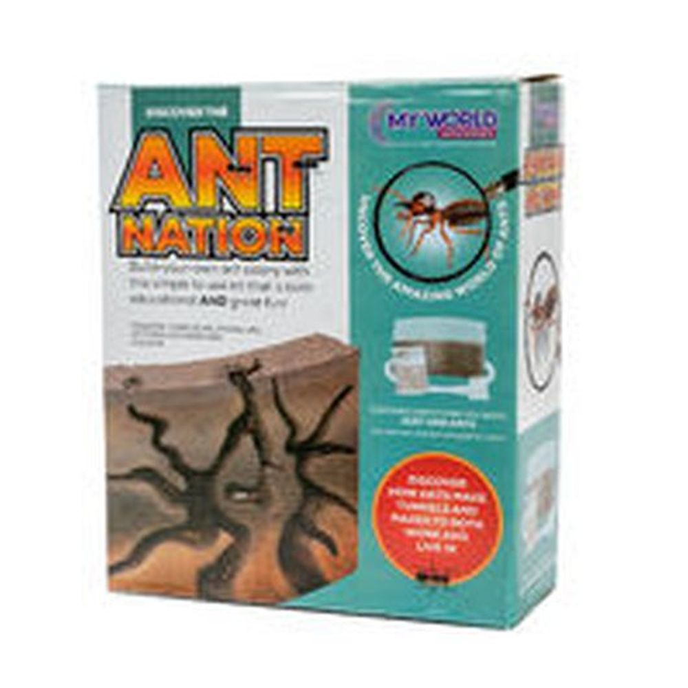 ANT COLONY