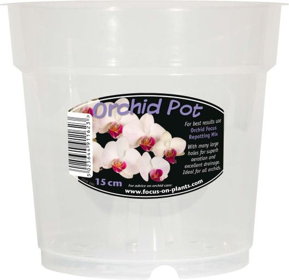 Orchid Clear Pot 15cm
