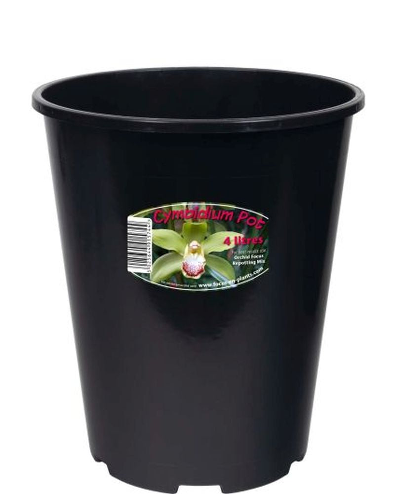 Cymbidium Orchid Pot 4 L