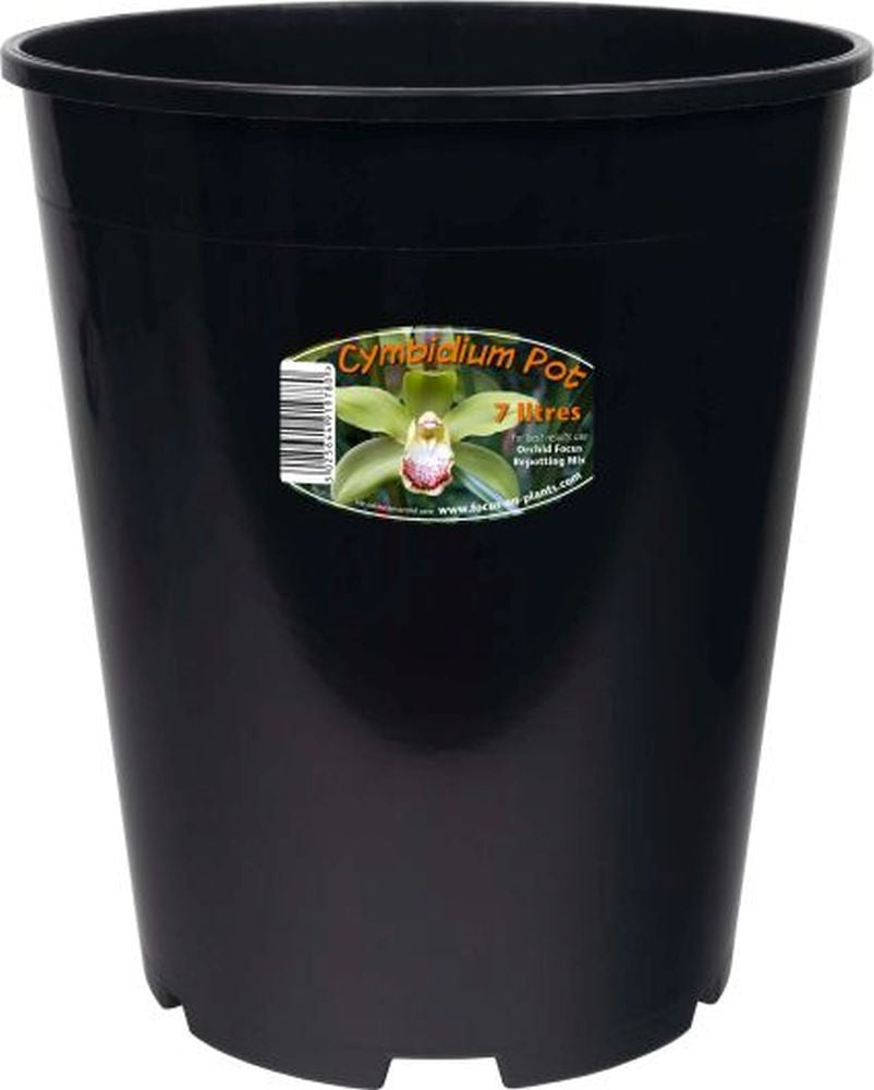 Cymbidium Orchid Pot 7 L