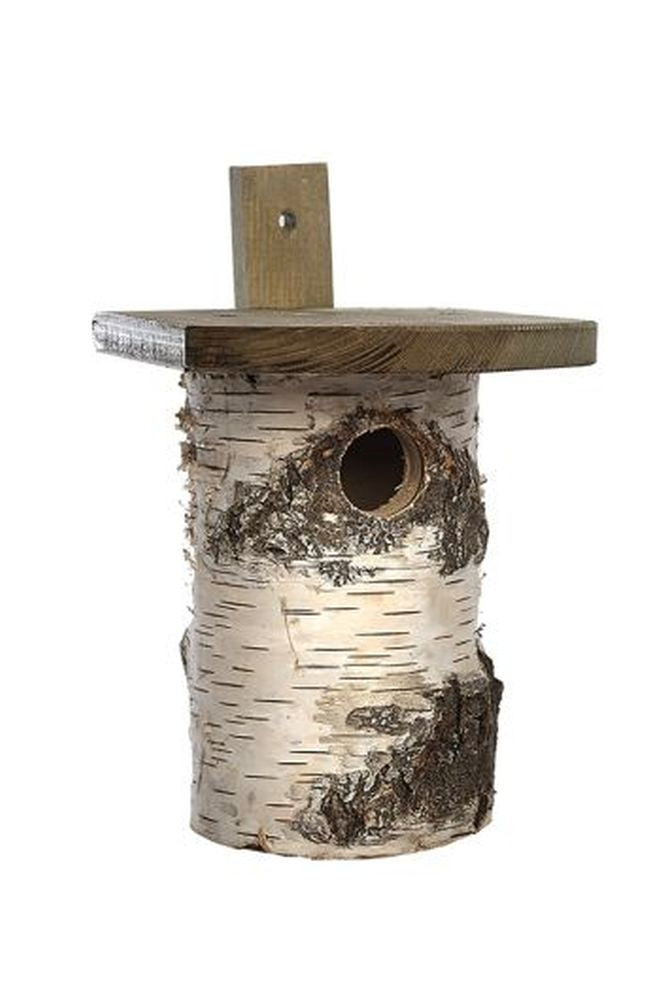 Birch Nest Box -- (FSC)